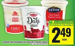 Food Basics CEDAR OR PHOENICIA YOGURT, HANS DAHI offer