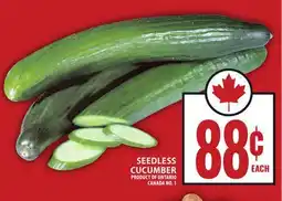Food Basics SEEDLESS CUCUMBER offer