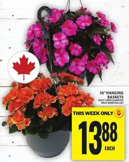 Food Basics 10 HANGING BASKETS offer