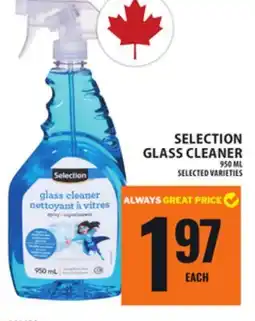 Food Basics SELECTION GLASS CLEANER offer