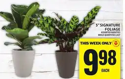Food Basics 5 SIGNATURE FOLIAGE offer