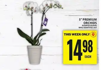 Food Basics 5 PREMIUM ORCHIDS offer