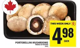 Food Basics PORTOBELLINI MUSHROOMS offer