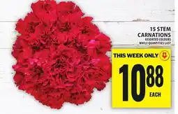 Food Basics 15 STEM CARNATIONS offer
