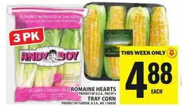 Food Basics ROMAINE HEARTS OR TRAY CORN offer