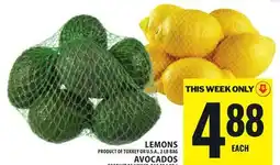 Food Basics LEMONS OR AVOCADOS offer