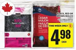 Food Basics BLACK, RED OR BROWN MULCH offer