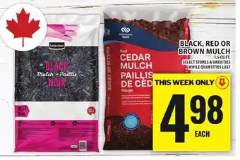 Food Basics BLACK, RED OR BROWN MULCH offer