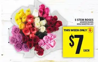 Food Basics 5 STEM ROSES offer