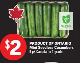 Foodland Mini Seedless Cucumbers offer