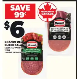 Loblaws BRANDT DELI SLICED SALAMI, 125 G offer