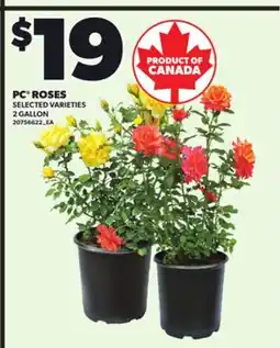 Loblaws PC ROSES, 2GALLON offer