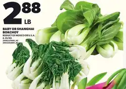 Loblaws BABY OR SHANGHAI BOKCHOY offer
