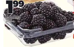 Loblaws BLACKBERRIES offer