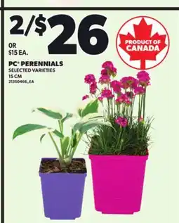 Loblaws PERENNIALS 15CM offer