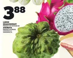 Loblaws LARGE DRAGON FRUIT OR ATEMOYA offer