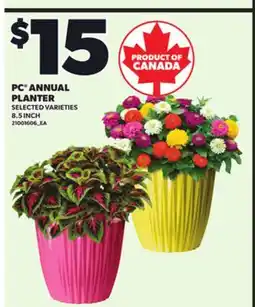 Loblaws PC ANNUAL PLANTER, 8.5INCH offer
