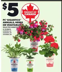 Loblaws PC GIGANTICO ANNUALS, HERBS OR VEGETABLES, 4.33 INCH offer