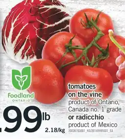 Fortinos TOMATOES ON THE VINE OR RADICCHIO offer