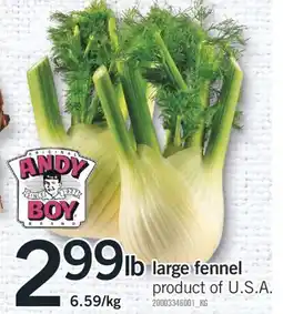 Fortinos LARGE FENNEL offer