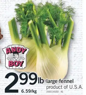 Fortinos LARGE FENNEL offer