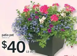 Fortinos PATIO POT, 12 inch offer