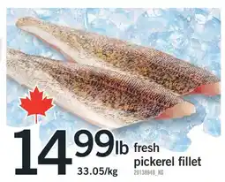 Fortinos FRESH PICKEREL FILLET offer