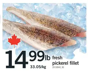 Fortinos FRESH PICKEREL FILLET offer