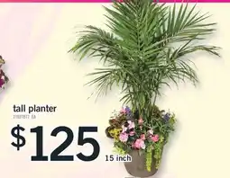 Fortinos TALL PLANTER, 15 INCH offer