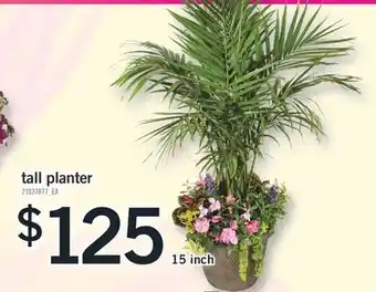 Fortinos TALL PLANTER, 15 INCH offer
