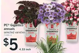 Fortinos PC GIGANTICO ANNUALS, 4.33 INCH offer