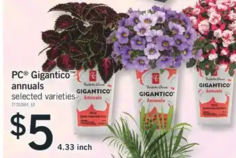 Fortinos PC GIGANTICO ANNUALS, 4.33 INCH offer