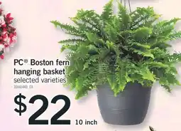 Fortinos PC BOSTON FERN HANGING BASKET, 10 INCH offer