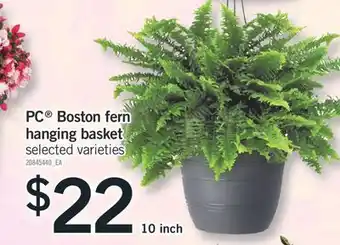 Fortinos PC BOSTON FERN HANGING BASKET, 10 INCH offer
