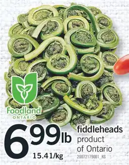 Fortinos FIDDLEHEADS offer