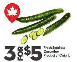 Longo's Fresh Seedless Cucumber offer