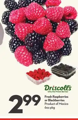 Longo's Fresh Raspberries or Blackberries offer