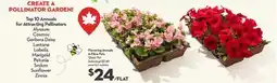 Longo's Flowering Annuals in Fibre Pots offer