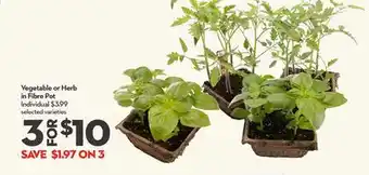 Longo's Vegetable or Herb in Fibre Pot offer