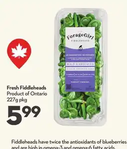 Longo's Fresh Fiddleheads offer