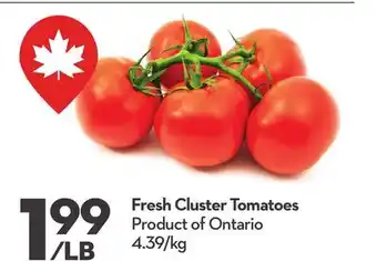 Longo's Fresh Cluster Tomatoes offer