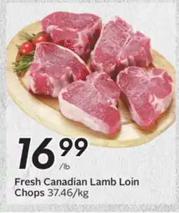 Sobeys Fresh Canadian Lamb Loin Chops offer