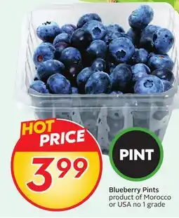 Sobeys Blueberry Pints offer