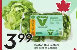 Sobeys Boston Duo Lettuce offer