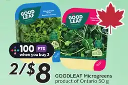 Sobeys GOODLEAF Microgreens offer