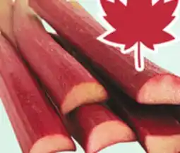 Sobeys Rhubarb offer