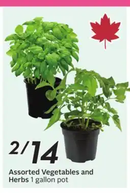 Sobeys Assorted Vegetables and Herbs offer