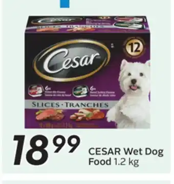 Sobeys CESAR Wet Dog Food offer