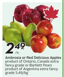Sobeys Ambrosia or Red Delicious Apples offer