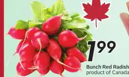 Sobeys Bunch Red Radish offer